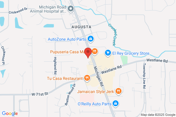 Advance Auto Parts