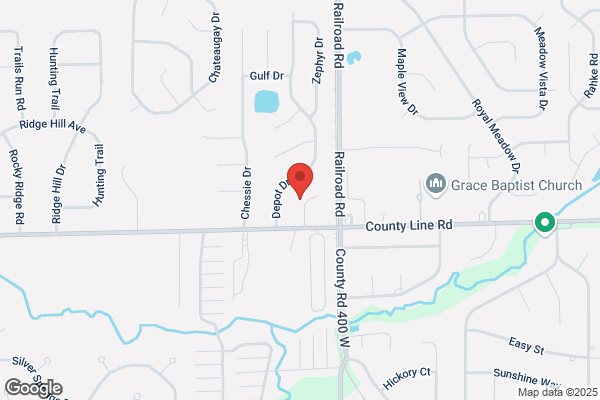 Exterminator Near Me