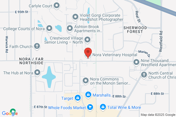 Nora Veterinary Clinic