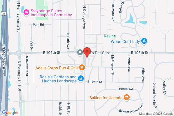 Coleman Auto Repair Service Cars