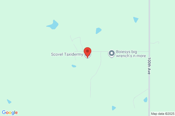 Scovel Taxidermy