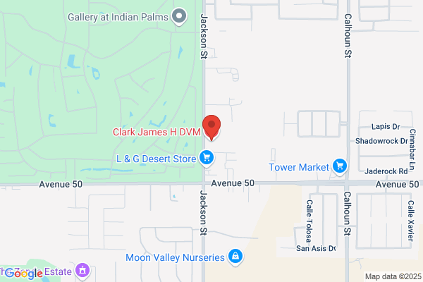 Clark James H DVM