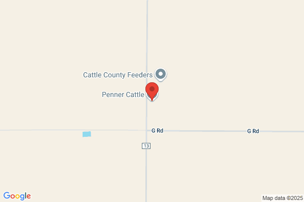 Penner Cattle Inc