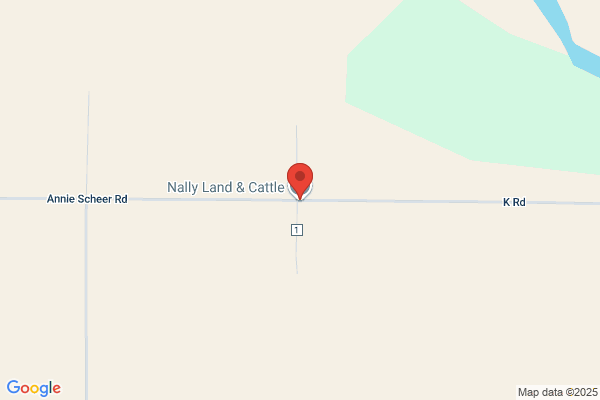 Wartman Cattle