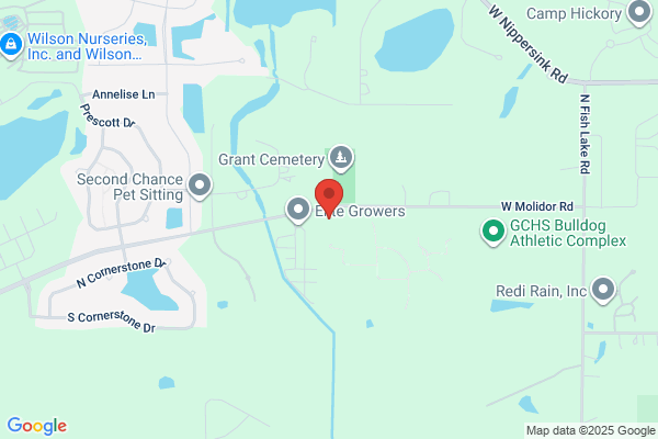 Grant Township, Supervisor
