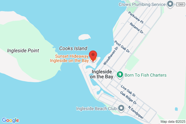 Dolphin Connection