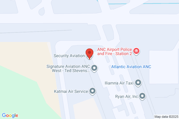 Security Aviation