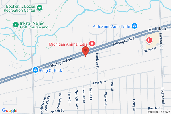 Avon-Bungalow Motel