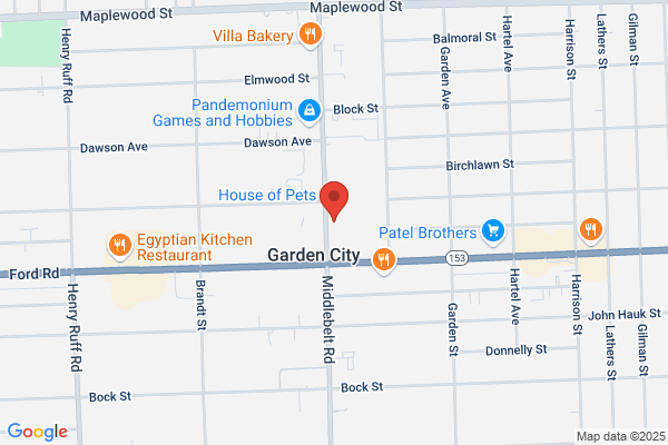 Garden City Cafe