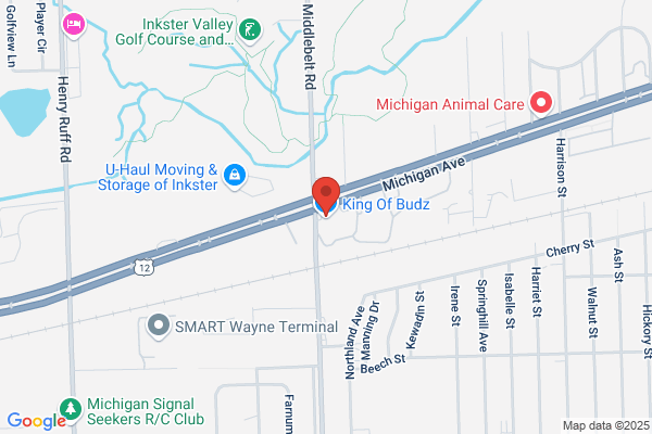 Michigan Tire