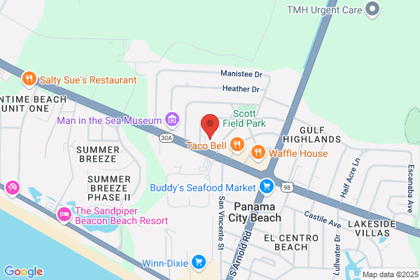 Advance Auto Parts