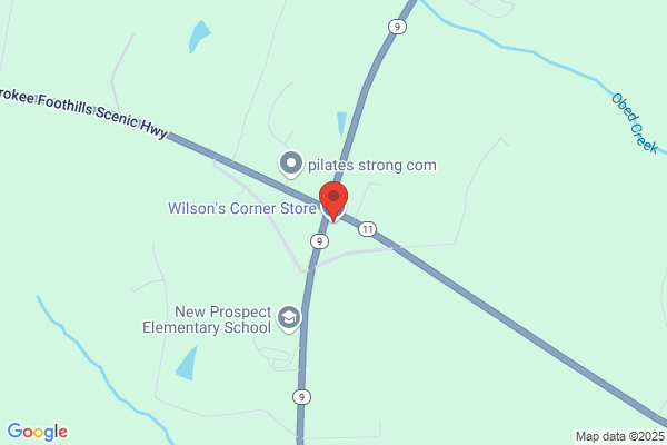 Wilson's #2