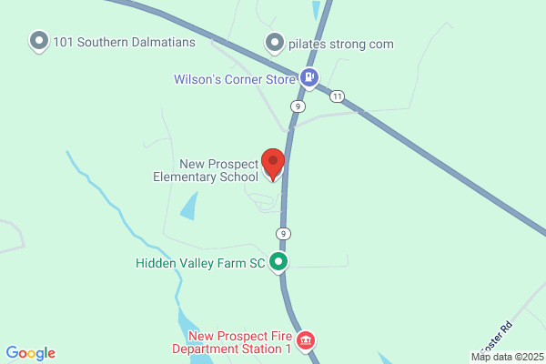 New Prospect School