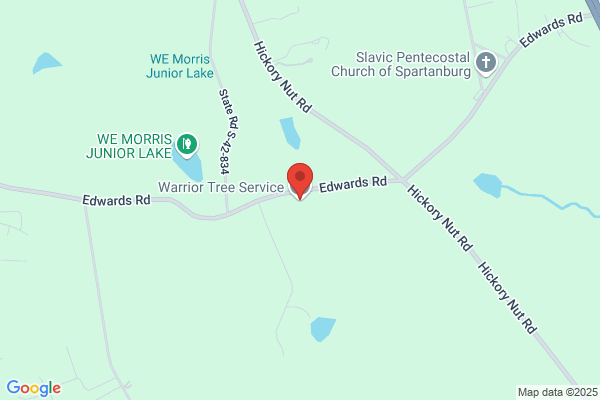 Warrior Tree Service LLC