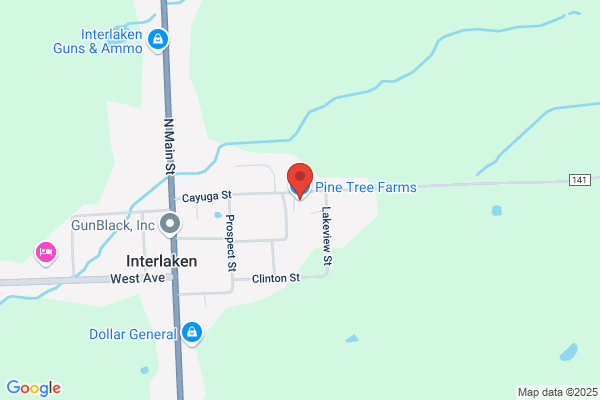 Pine Tree Farms