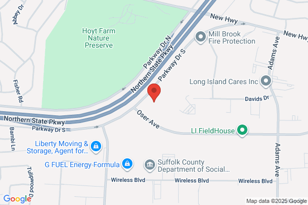 Vehicle Services Inc