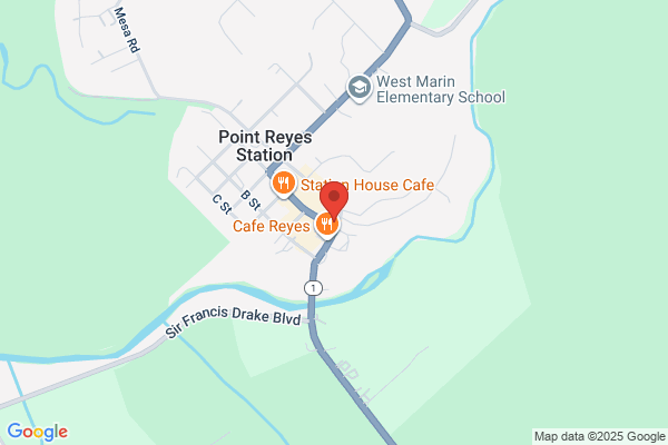 Coastal Marin Real Estate