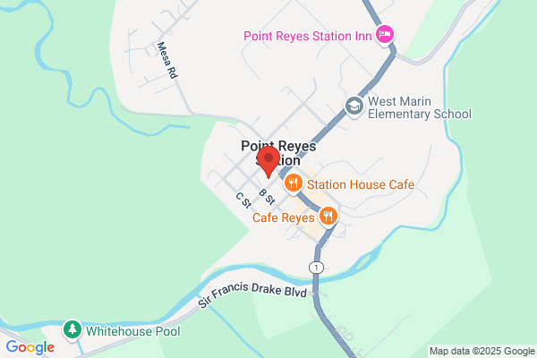 Pine Cone Diner