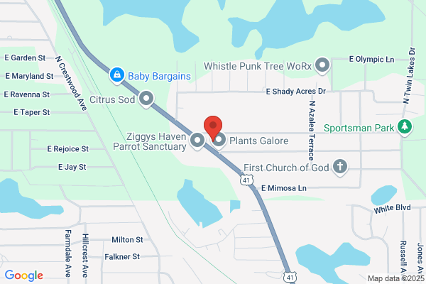 Martin's Citgo