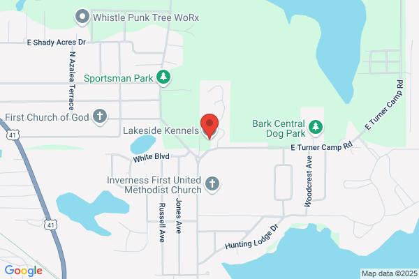 Lakeside Kennels