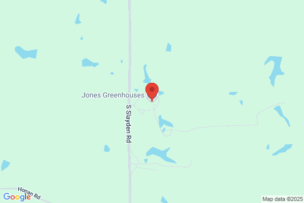 Jones Planting Company