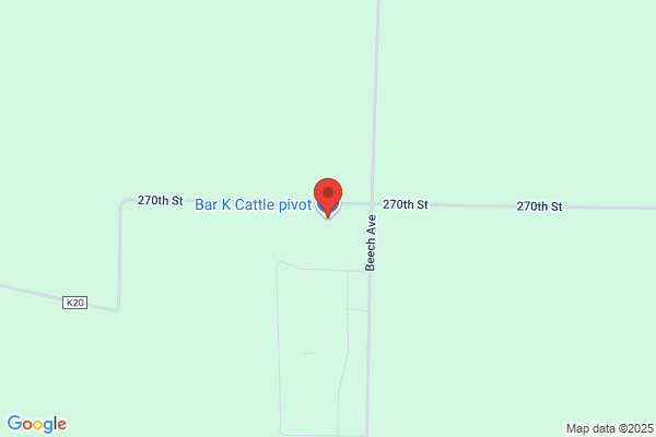 Bar K Cattle