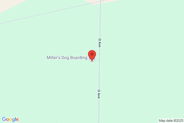 Miller's Dog Boarding