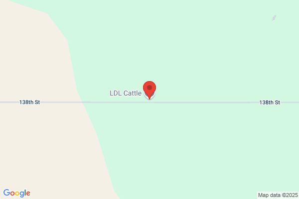 Ldl Cattle Co