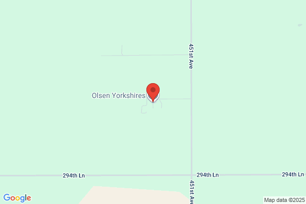 Olsen Yorkshire