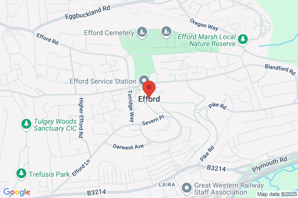 Efford Alston, Washington National Agent