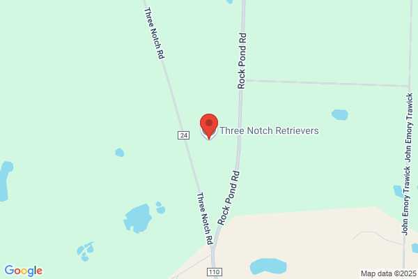 Three Notch Retrievers