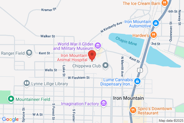 Hometown Animal Hospital