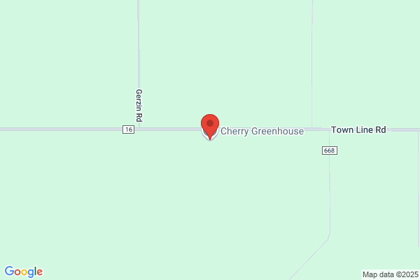 Cherry Greenhouse