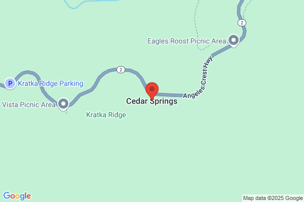 Cedar Spring Inc