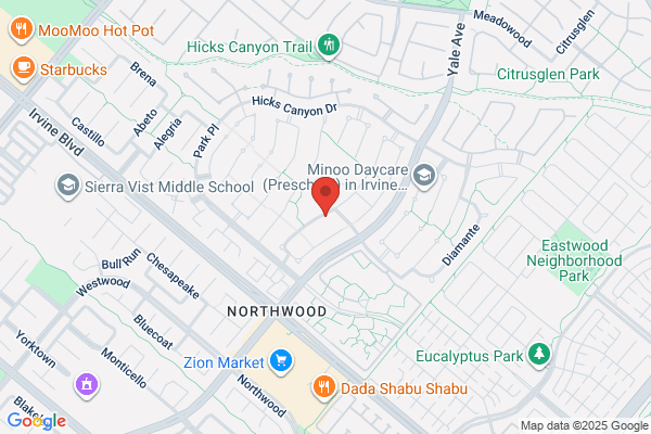 Visualpoint Corporation