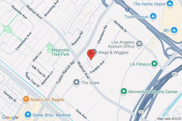 Ifiber Optix Inc