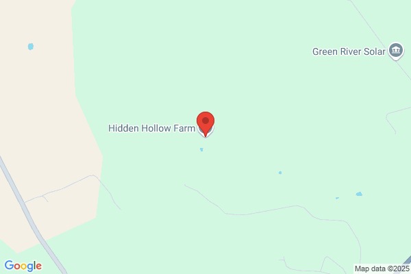 Hidden Hollow Farm