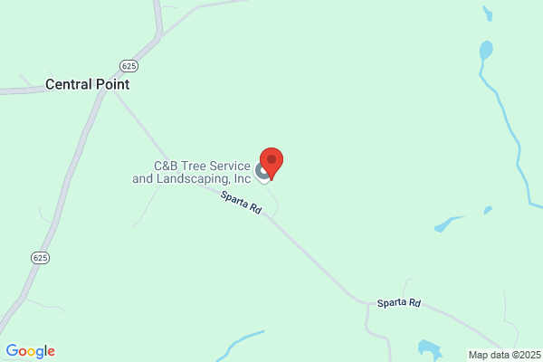 M & T Brush & Tree Service