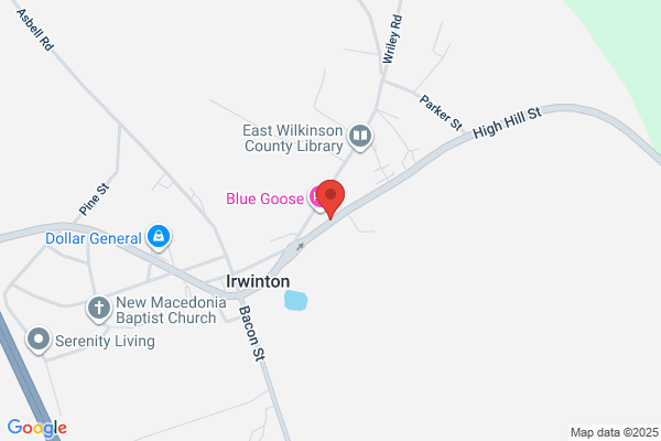 Wilkinson County Family Connections