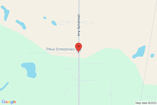 Pikus Enterprises Inc