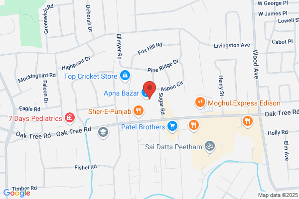 Iselin Electronics