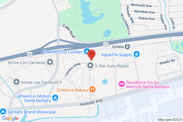 Biopac Systems Inc