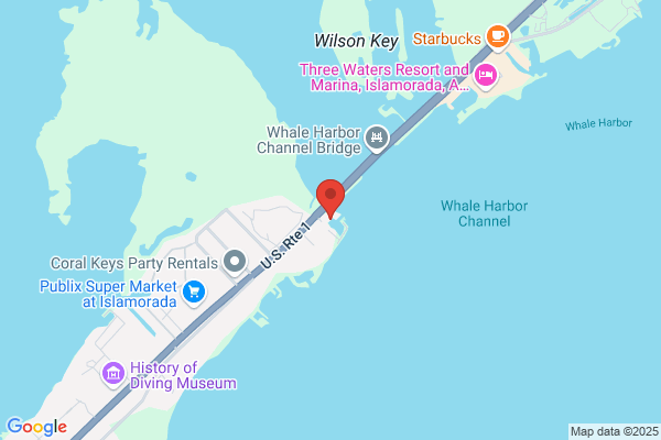 Challenger Charters
