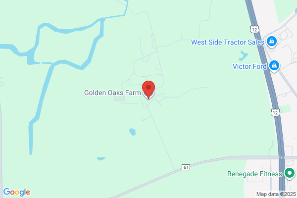 Golden Oaks Farm