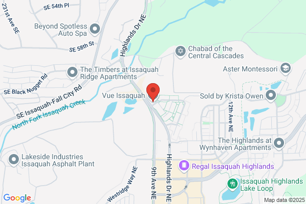 Vue Issaquah