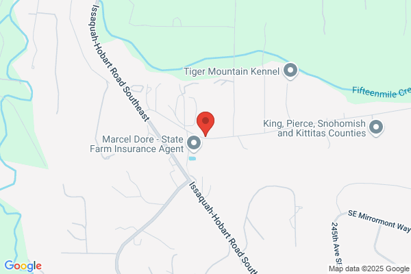 Mountainside School