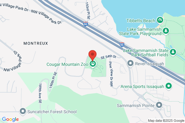 Cougar Mountain Academy