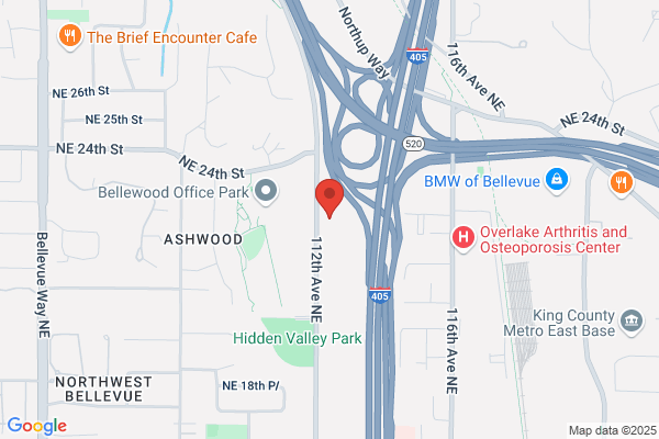 Mickelson David P Attorney