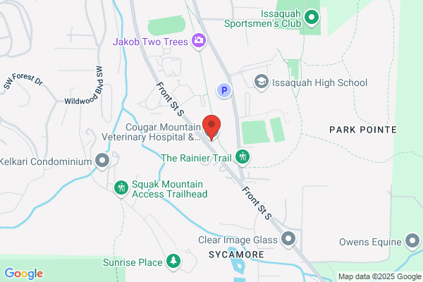 Cougar Mountain Veterinary Hospital & Wellness Center