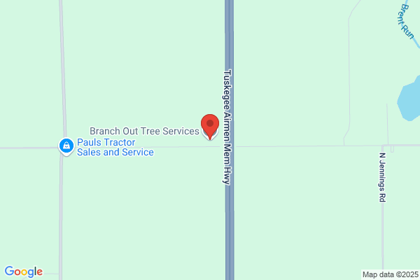 Branch Out Tree Service LLC